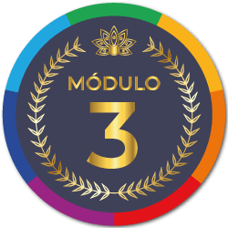 Módulo Três Curso De Doula