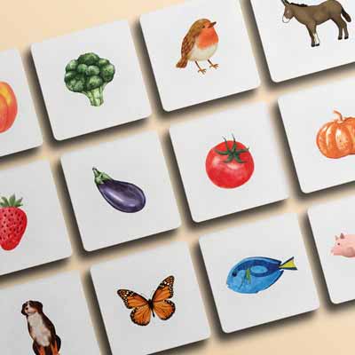 Kit de cartas montessori