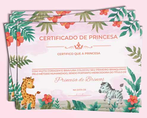 Pack super completo com modelos de certificados de princesa para você imprimir