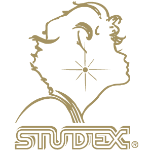 Brincos Studex